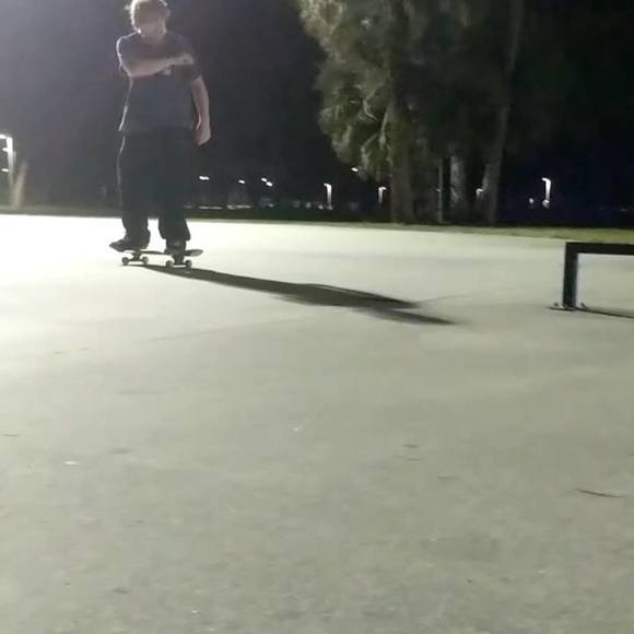 stealthbadgers